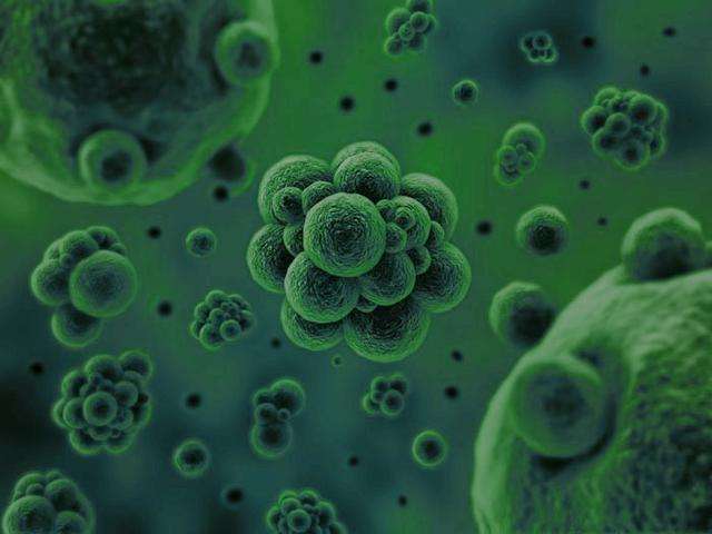 微生物是通过何种方式将废水中的污染物分解去除掉的?